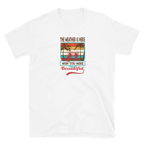 The Weather is Here- Soft Cotton T-Shirt
